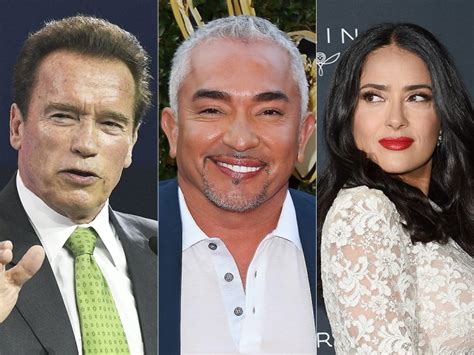 immigrant celebrity in the us who are similar to americans